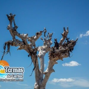 Villa Turística Lago Epecuén