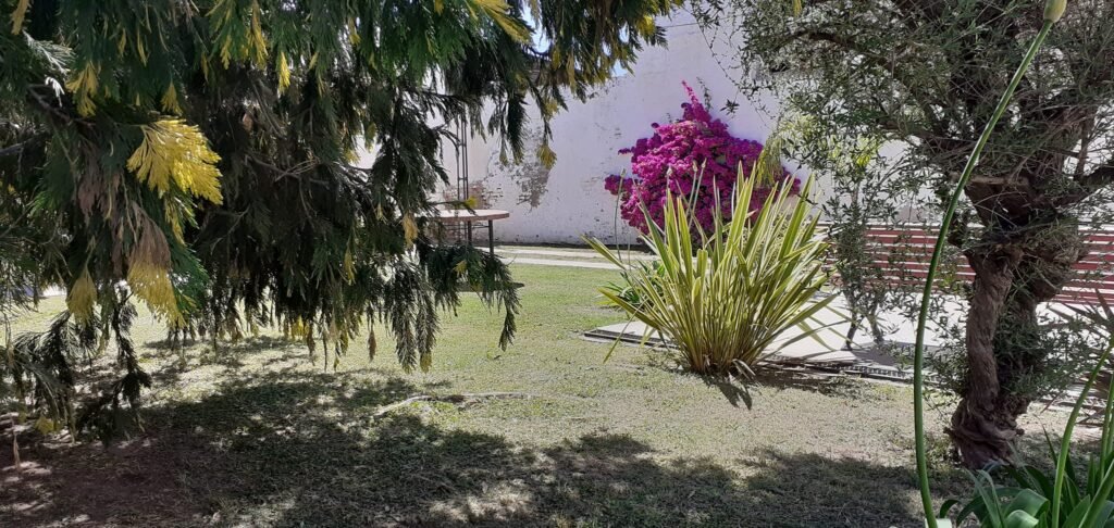 Departamentos Colón en las Termas de Carhué